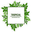Design element tropical, artwork green leaves frame. Vector