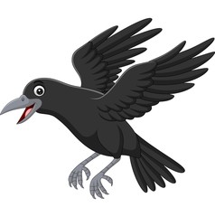 Poster - Cartoon crow flying isolated on white background