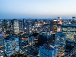 © Monet_P - 東京夜景の航空写真