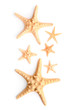 © Pixel-Shot - Beautiful starfishes on white background