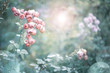  Romantic vintage rose flowers in diffuse sun light with bokeh - Retro filter background 
