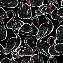Stylish Black And White Hand Drawn Pink Swan Doodle Sketch Seamless Pattern On Vector Design For Fashion ,fabric ,web, And All Prints