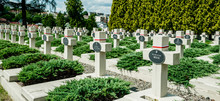 Stone Crosses Of The Old Military Cemetery At The Lychakiv Cemetery In Lviv
