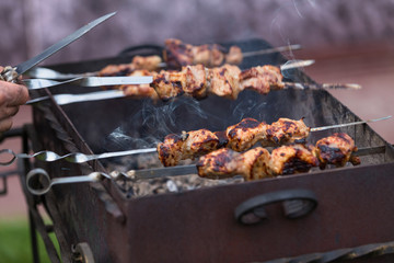 Cooking kebabs on charcoal in the grill on the background of green grass. Selective focus.