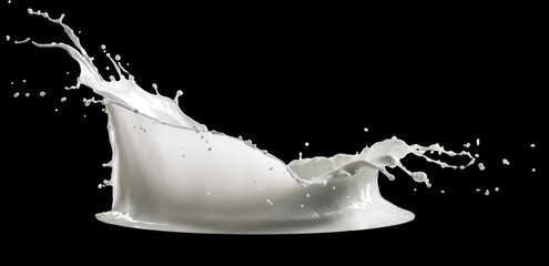 milk splash isolated on black background