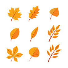 Autumn Leaves Flat Vector Illustrations Set