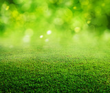 Fototapeta Perspektywa 3d - spring green grass background