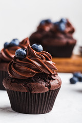 Wall Mural - Chocolate cupcakes with blueberries on white table, close up