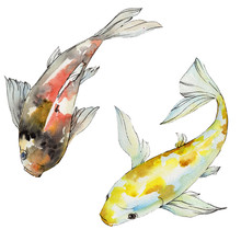 Aquatic Underwater Colorful Tropical Fish Set. Watercolor Background Set. Isolated Goldfish Illustration Element.