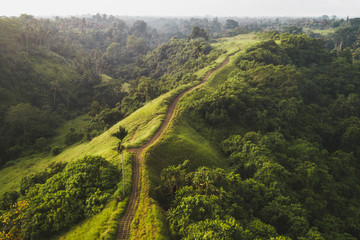 Wall Mural - Aerial view of Campuhan Ridge Walk , Scenic Green Hill in Ubud Bali