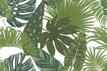 Naklejka na meble Seamless pattern with tropical leaf palm. Watercolor.  Vector illustration. EPS 10.