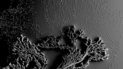 Network animation connected dots or growing trails