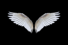 White Angel Wings Isolated On A Black Background.clipping Path
