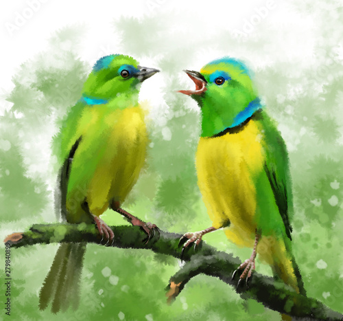 Oiseau Tangara Chlorophos Illustration Aquarelle Carte