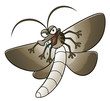 Cartoon moth