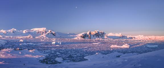 Wall Mural - mountain panorama of antarctica shoreline. amazing panoramic view. the pieces of the ice floating in