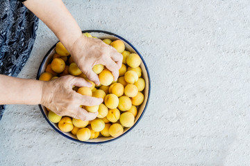 Large group of apricot in hand