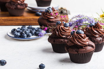 Wall Mural - Chocolate cupcakes with blueberries on white table, close up