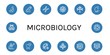 Set of microbiology icons such as Microscope, Blood sample, Chromosome, Nanotechnology, Phylogenetics, Bacteria, Phylogenetic, Virus, Cloning, Petri dish , microbiology