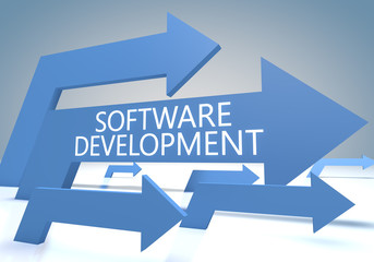 Software Development