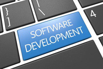 Software Development