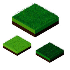 isometric grass illustration