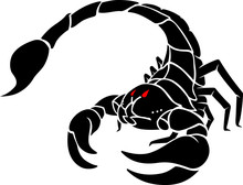 Scorpion Sting Attack