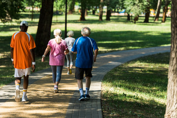 Wall Mural - back view of retired multicultural pensioners in sportswear walking in walkway in park