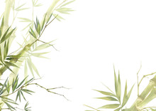 Watercolor Illustration Painting Of Bamboo Leaves , On White Background