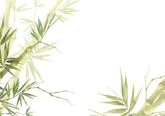  Akwarela ilustracyjny obraz bambusowi liście na białym tle