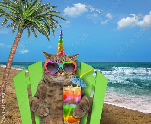 The Cat Unicorn In Sunglasses With A A Glass Of Colored