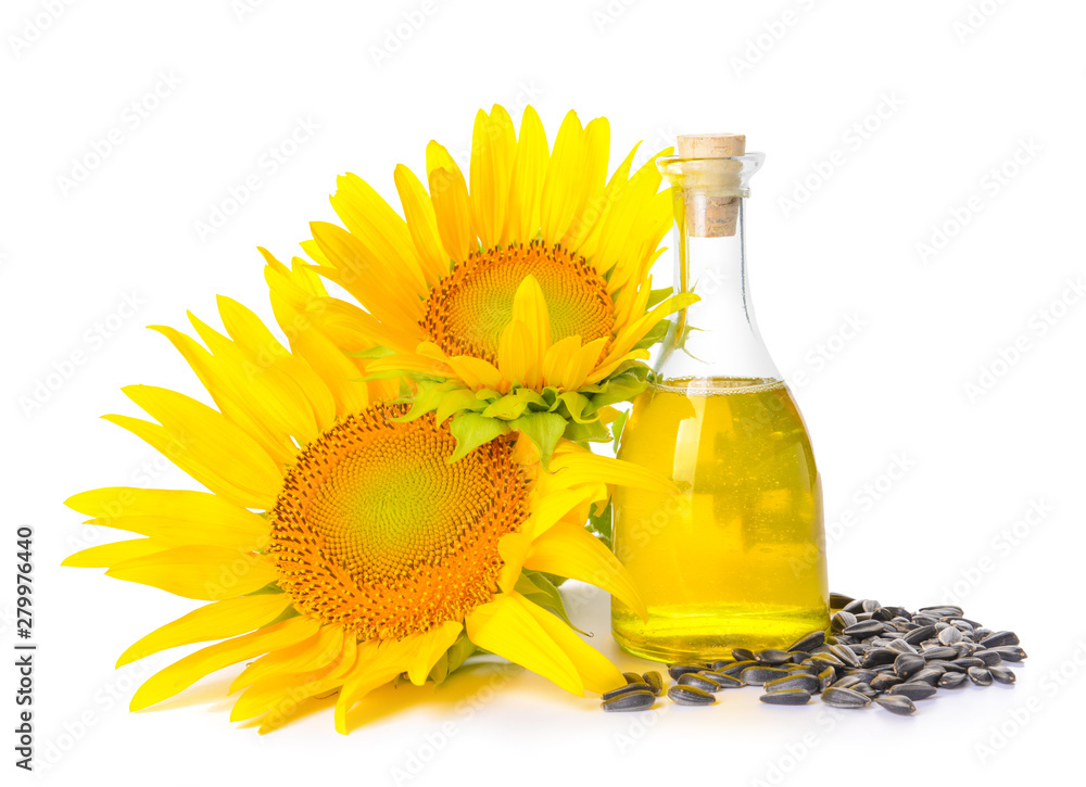 Composition with sunflower oil on white background