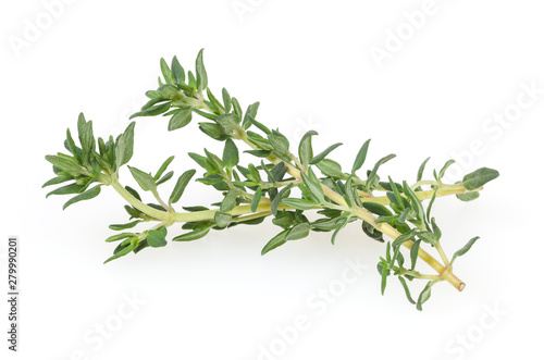 Fotomural Fresh thyme isolated on white background