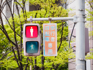 Wall Mural - traffic lights in Japan