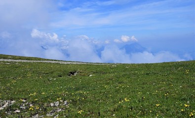 Canvas Print - suisse alpine