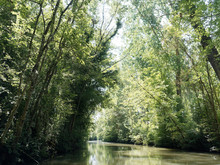 Marais Poitevin. Site De France. Paysage Verdoyant De La Venise Verte Sous Les Frènes Et Peupliers Le Long D'un Canal