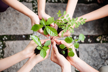 Close-up of young people are going to plant young trees and do environment better