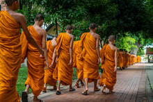 Line Of Novice Monks Of Buddhism