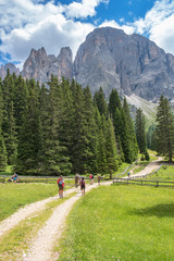 Wall Mural - group of hikers on an alpine meadow