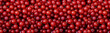 Red currant, close-up banner wallpaper panorama. Ripe red currant berries, low key. Harvesting farm organic