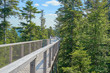 © marako85 - Treetop Walk in the Black Forest