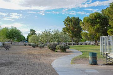 Wall Mural - Hidden Palms Park, Henderson, NV.