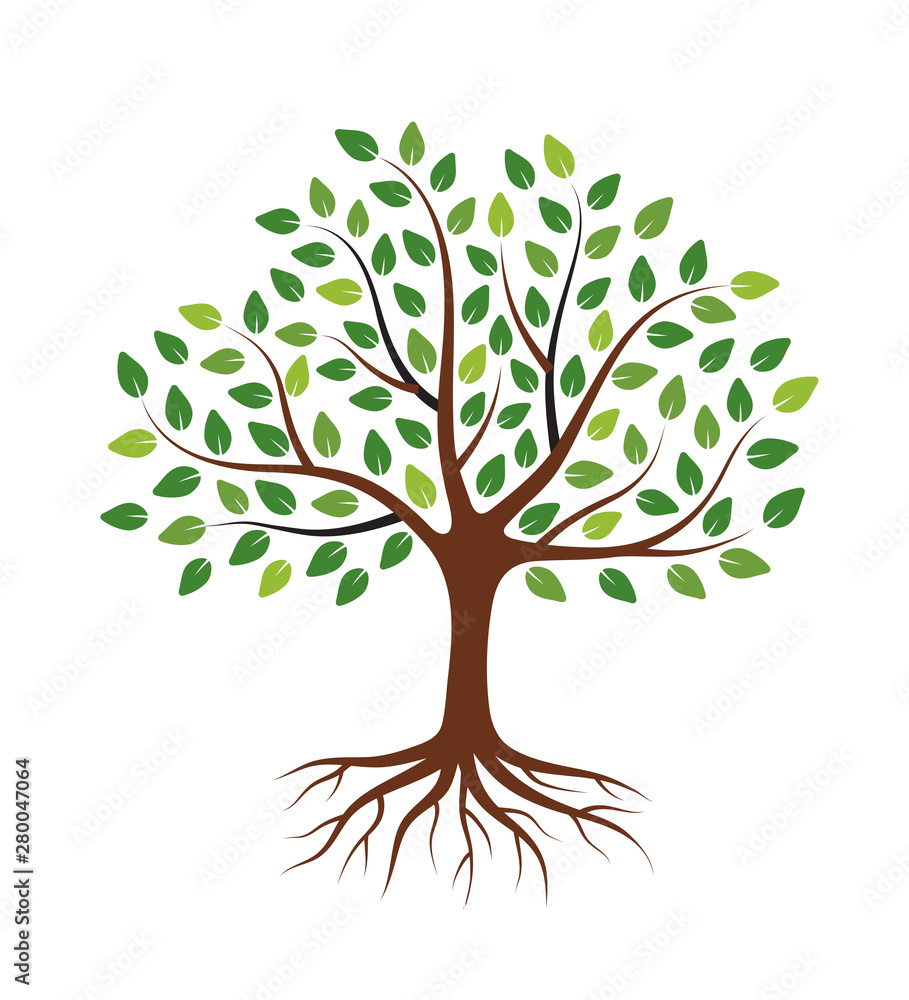 Tree with green leaves and roots. Isolated on white background. Flat ...