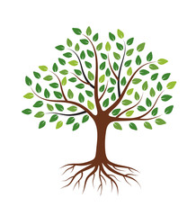 Tree with green leaves and roots. Isolated on white background. Flat style, vector illustration. 