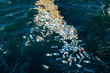 © EwaStudio - Plastic water bottles pollute ocean