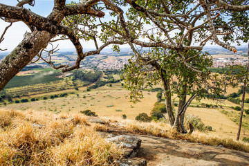 city ​​landscape between two trees