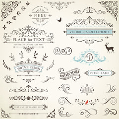 Wall Mural - ornate retro labels, flourishes elements, calligraphy swirls, corner ornaments and frames.