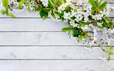 Fototapeta Kwiaty - Spring flower background on white wooden background