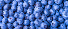 Many Blueberry Berries On A Flat Surface, Top View, Close-up. Background Of Berries, Blueberries Macro