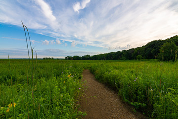 Dirt path at sunrise